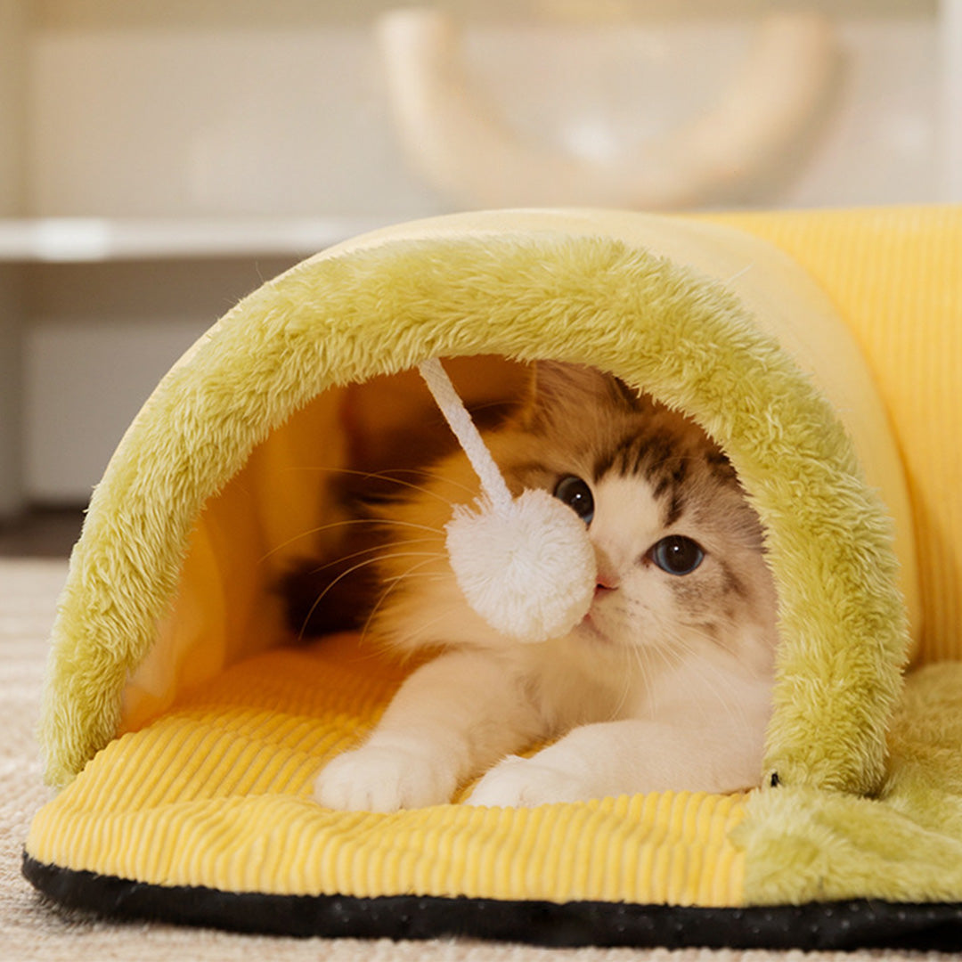 Playful Kitten Bed
