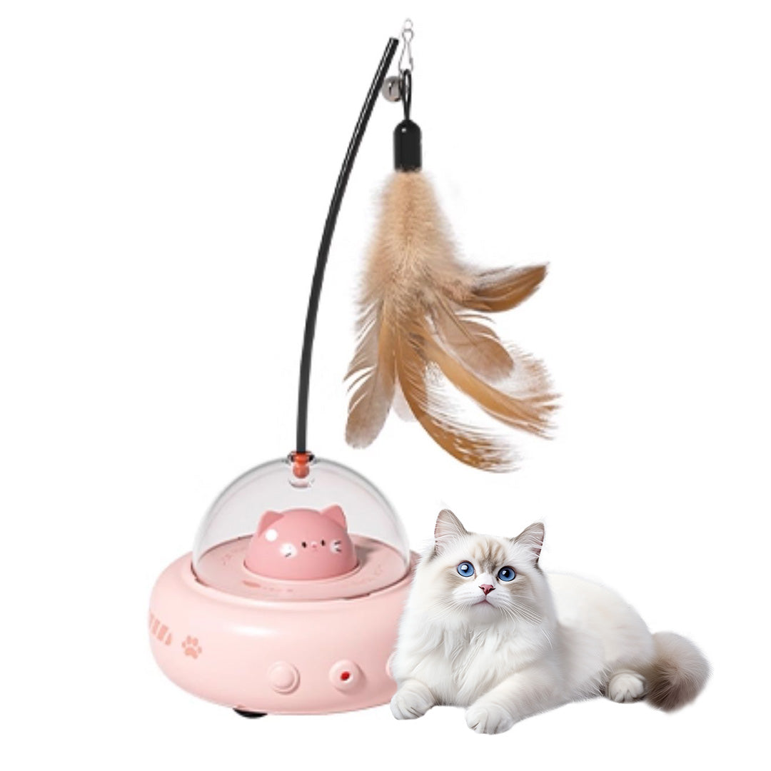Fat Cat Weight loss toys