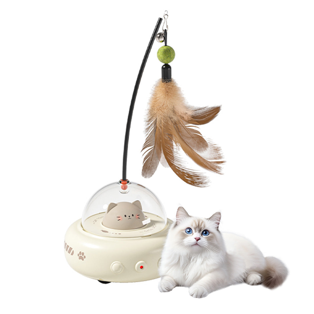 interactive cat toys