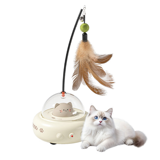 interactive cat toys