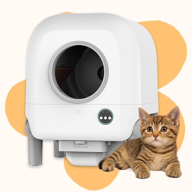 Automatic self-cleaning litter box for cleaner cat care at home