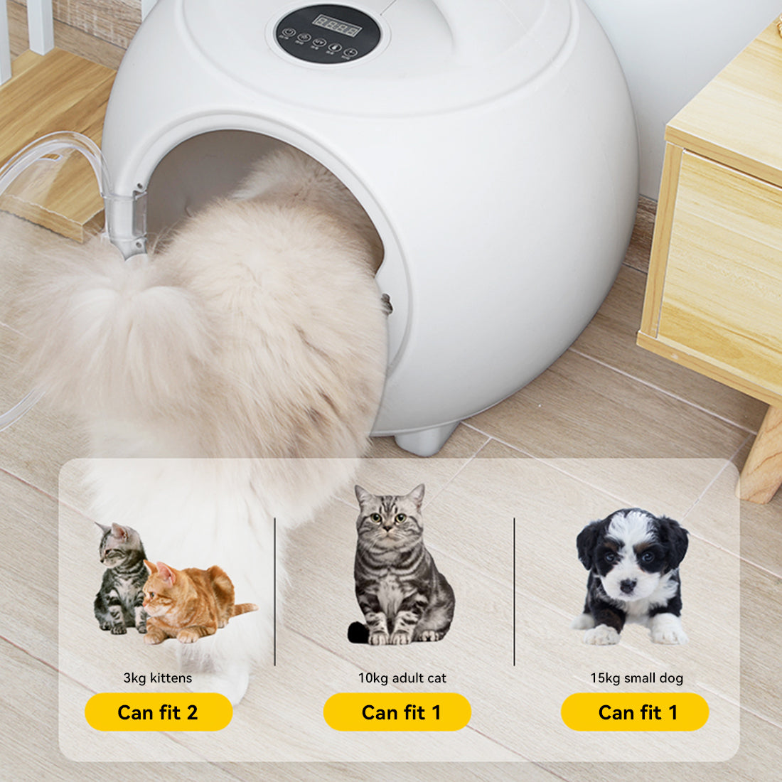 Pet Dryer Box with 50L large space Comfortably fits pets up to 15 lbs—roomy enough to lie down, sit up, or turn around with ease.