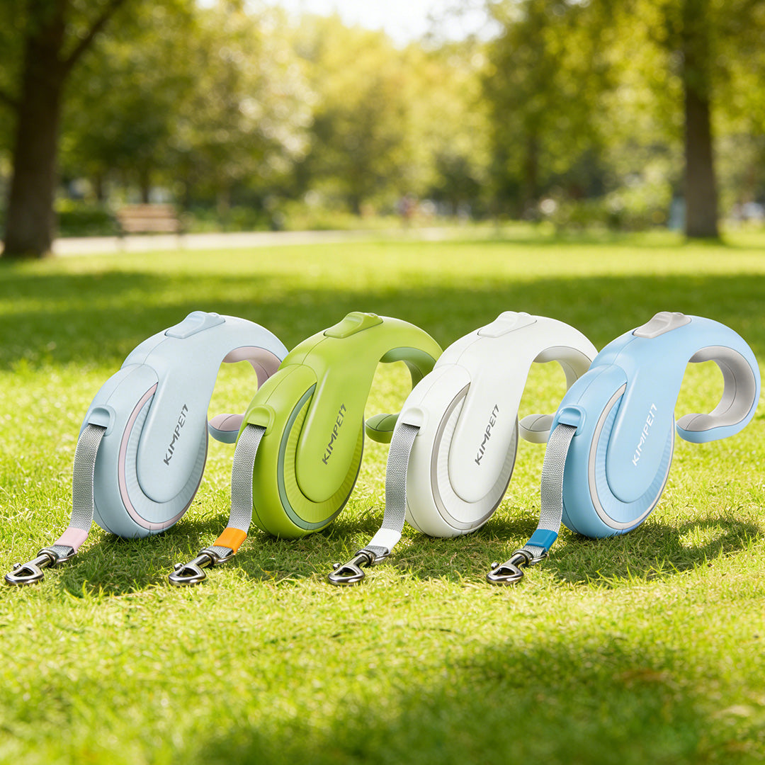 Automatic retractable dog leash displayed in multiple colors on grass outdoors