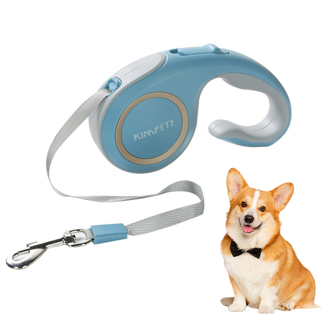 Blue retractable dog leash connected to a medium-sized dog