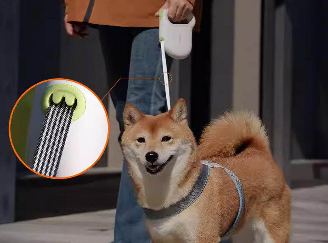 Dog walking with retractable leash featuring heavy-duty reflective nylon rope for strength and night safety