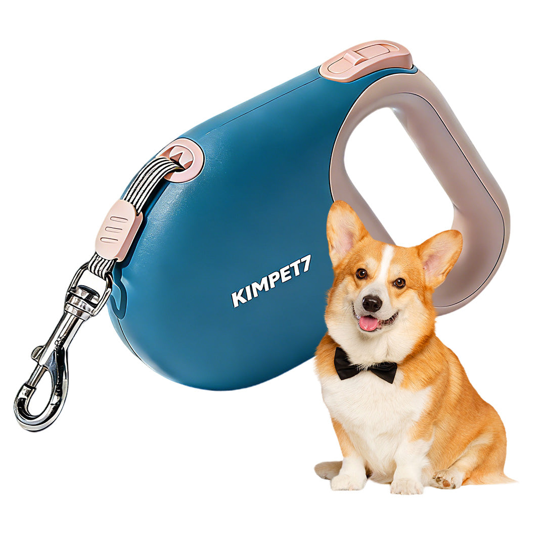 Blue retractable dog leash with dog, highlighting smooth extension and control