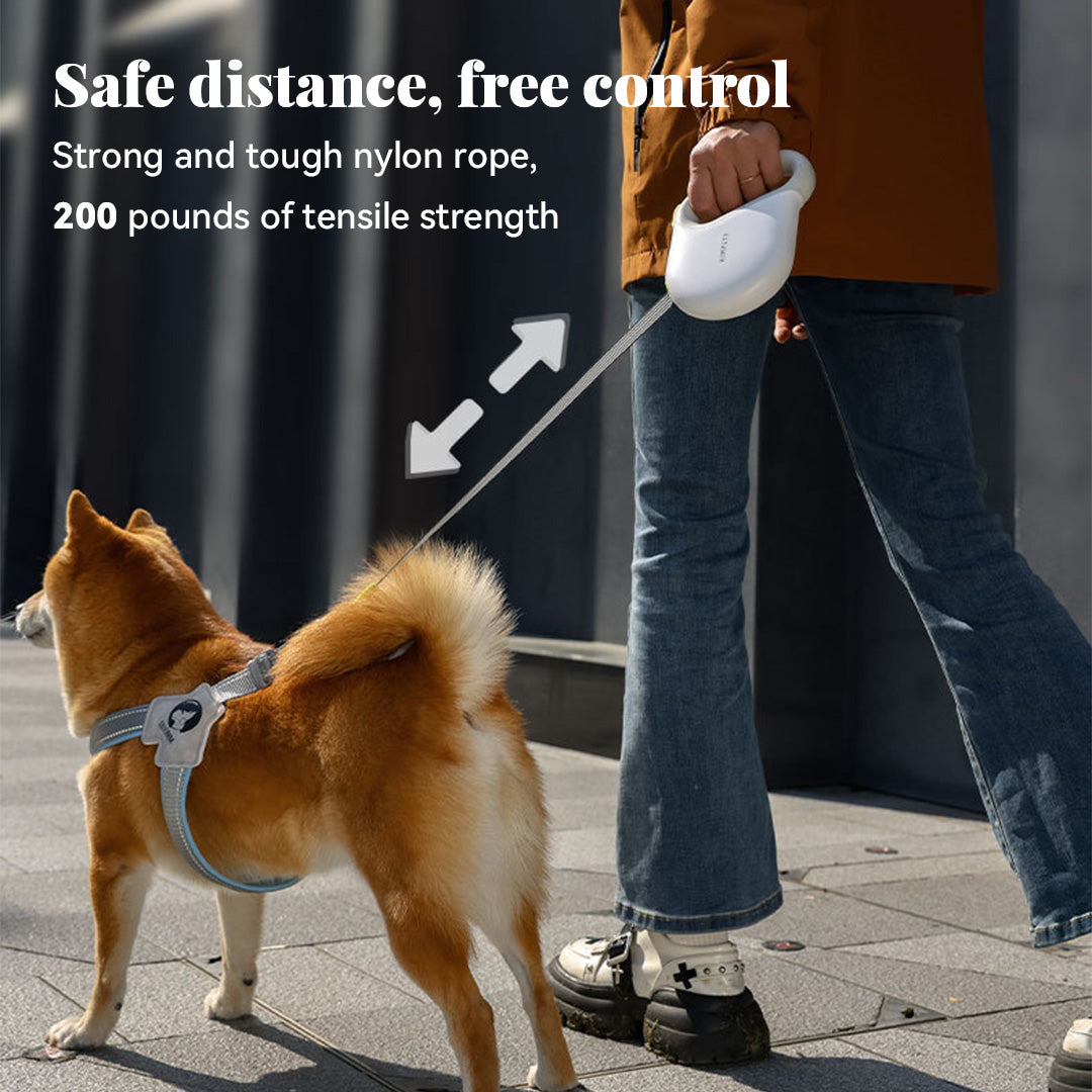 Dog walking outdoors with retractable leash, demonstrating freedom and safe distance