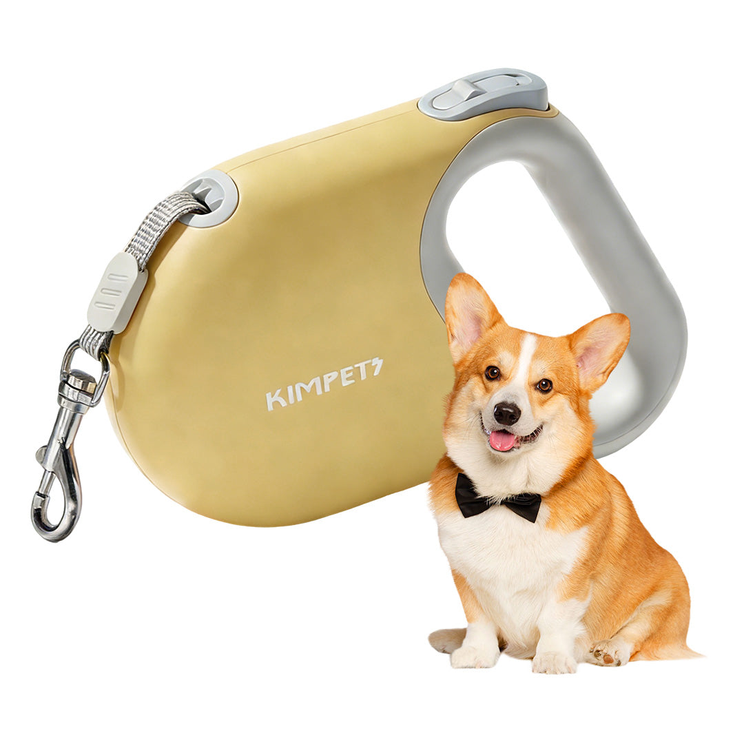 Yellow retractable dog leash with small dog, showing compact size and everyday use
