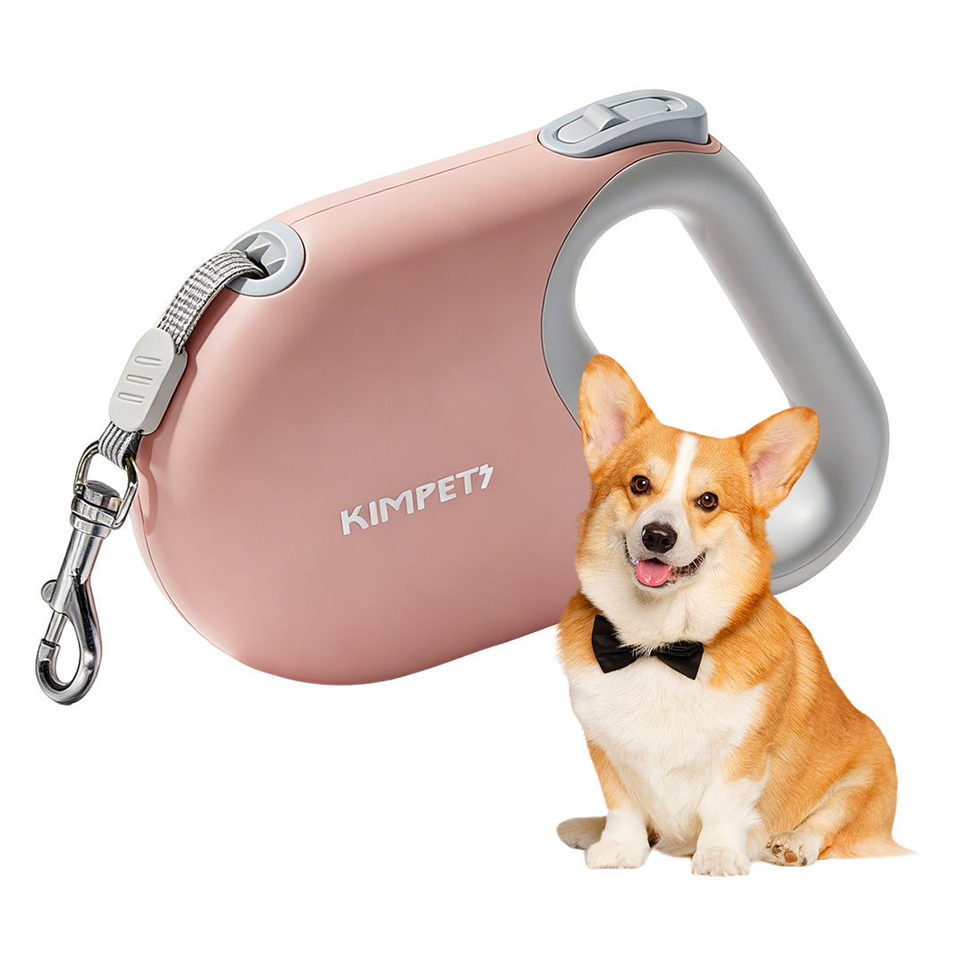 Pink retractable dog leash with dog, highlighting color options and compact form
