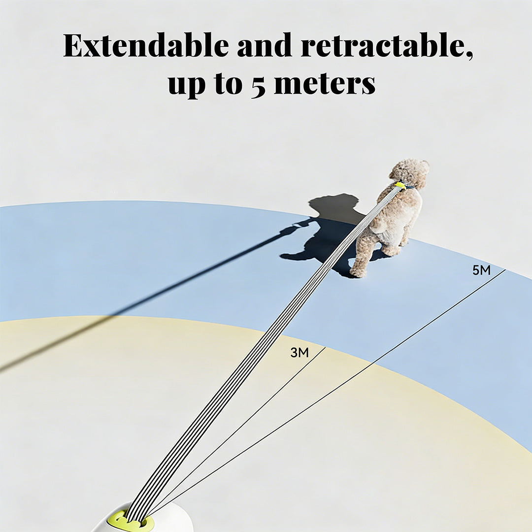 5-meter retractable dog leash length illustration, showing adjustable walking distance