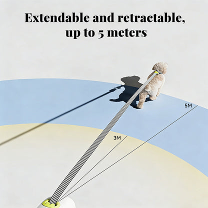 5-meter retractable dog leash length illustration, showing adjustable walking distance