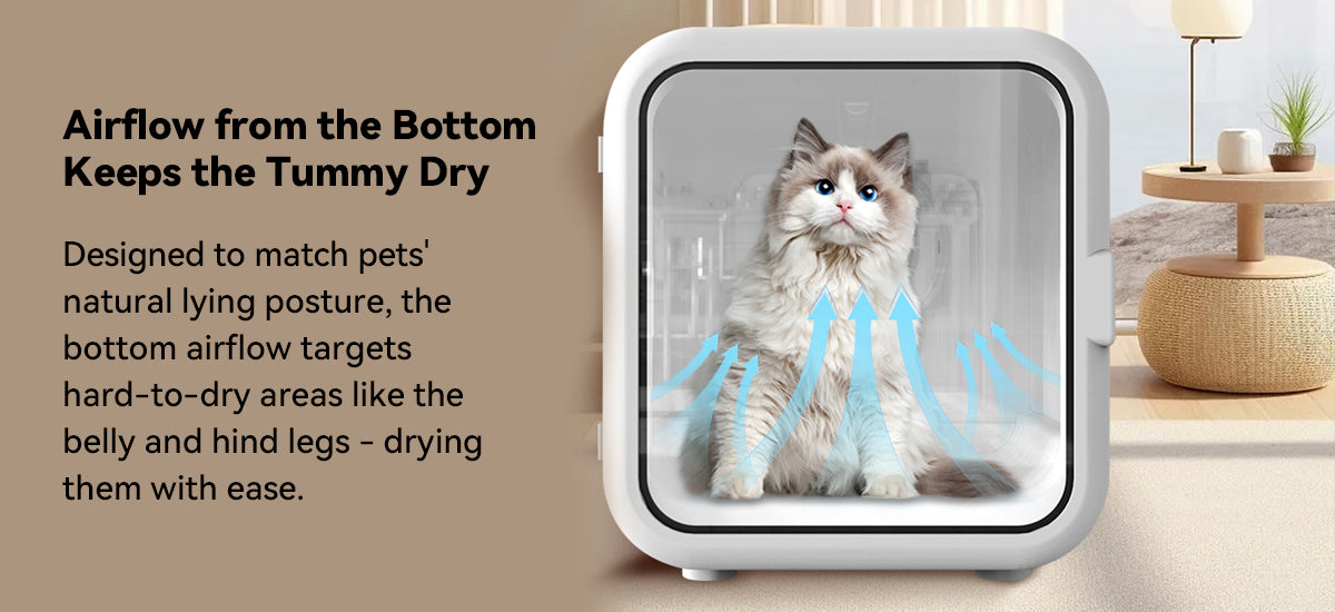 Pet Smart Dryer Box Airflow from the Bottom to keep the Tummy Dry