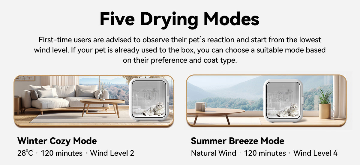 Pet Smart Dryer Box Drying Modes
