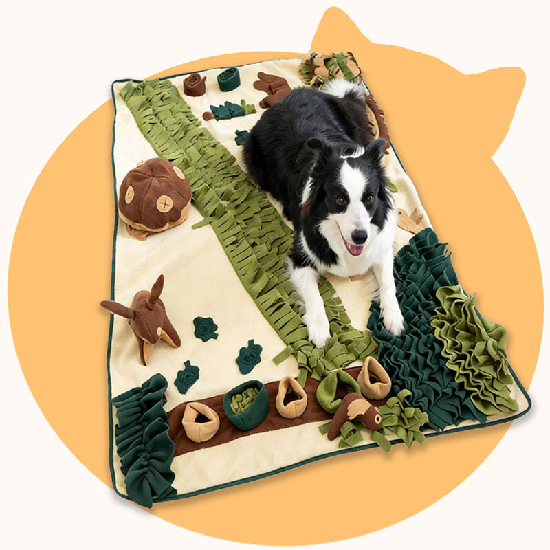 Interactive pet toy designed for play and mental stimulation