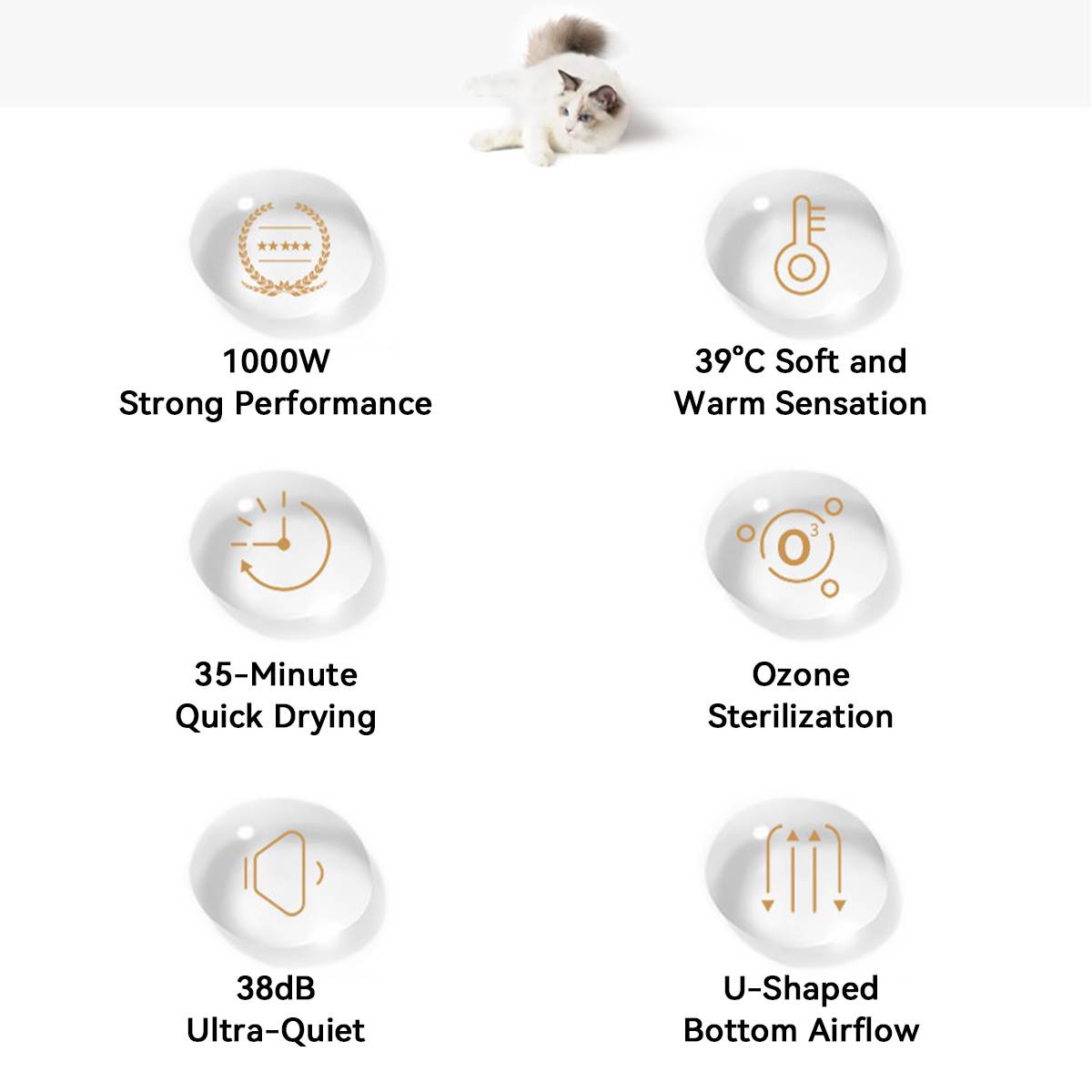 Petsgofun Smart Pet Drying Box D25 Functions
