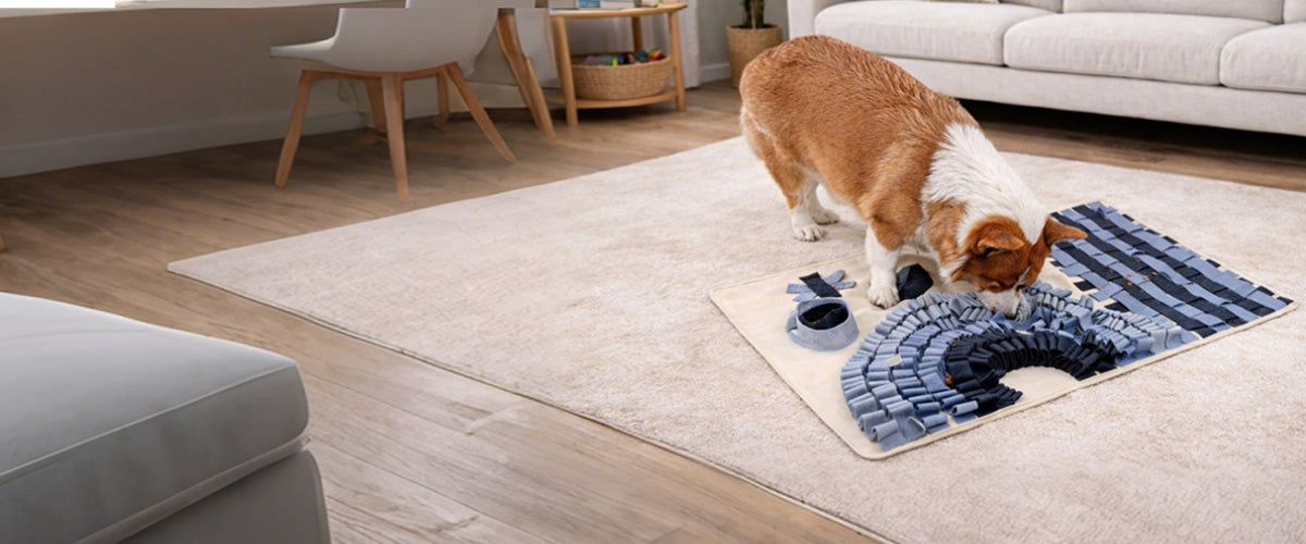 Snuffle mat providing indoor mental stimulation for dogs