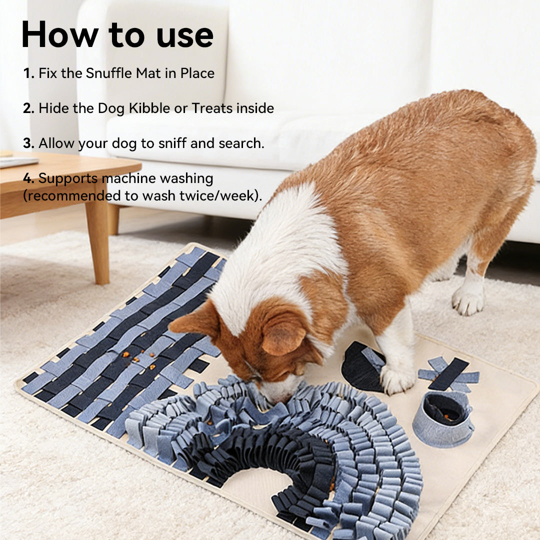 How to use a dog snuffle mat: fix the mat, hide treats, and let the dog sniff and search indoors