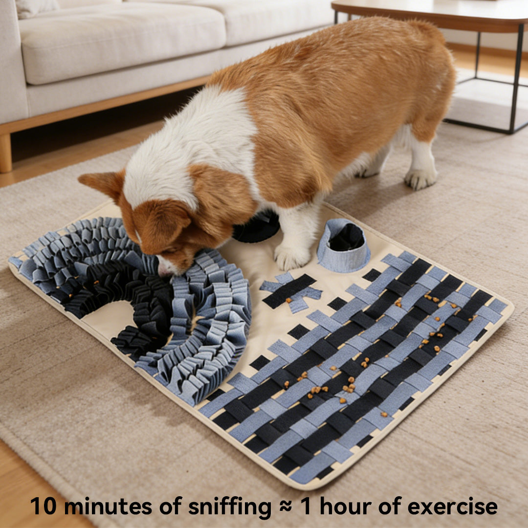 Dog sniffing a blue rainbow snuffle mat indoors, showing that 10 minutes of sniffing equals one hour of exercise