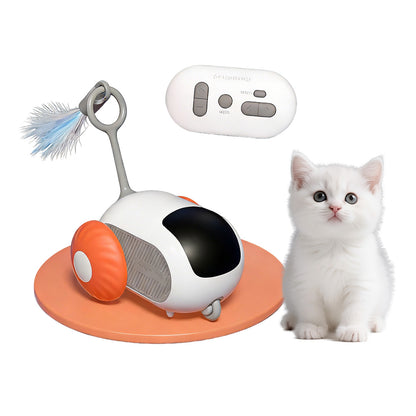 Cat playing with interactive rolling toy and replaceable feather teaser