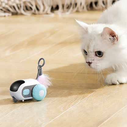 Cat playing with interactive remote Car
