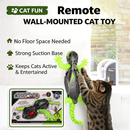 Cat reacting to remote controlled gecko toy on the wall