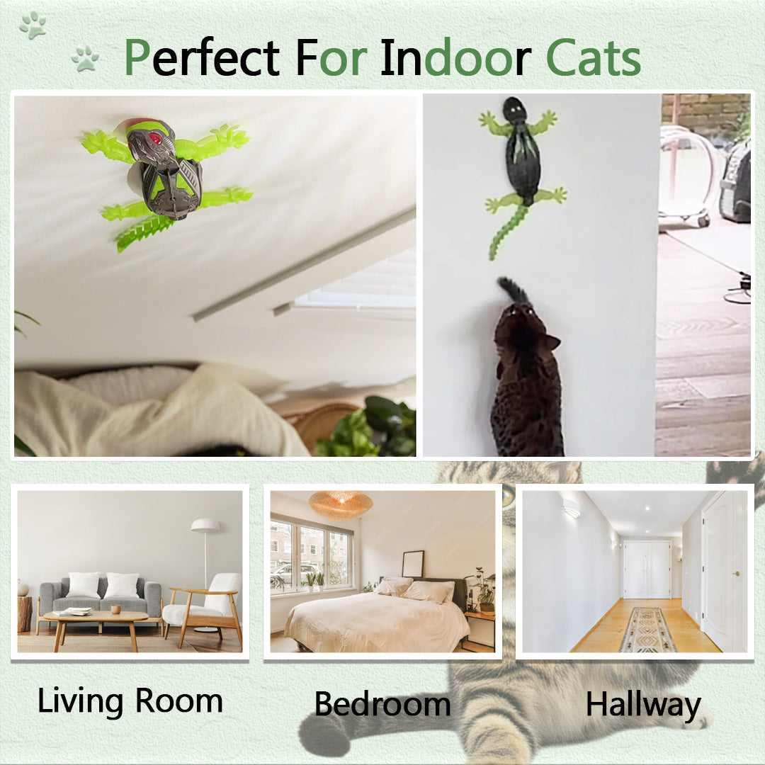 Remote Wall Mounted Cat Toy Perfect For Indoor Cat