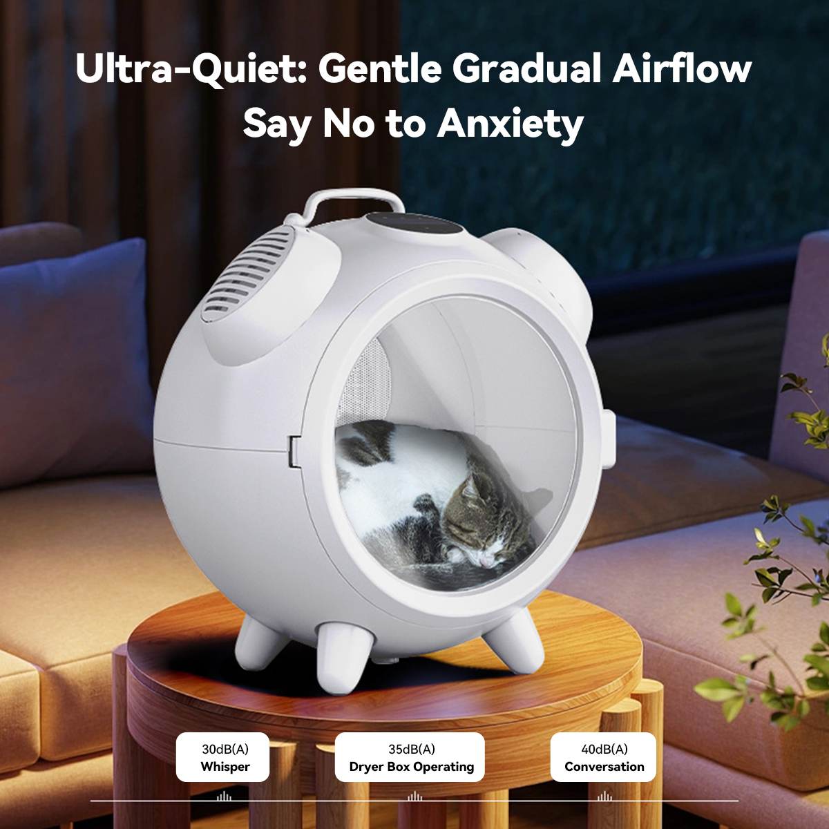 Cat peacefully sleeping inside a low-noise white pet dryer box with 35dB operation, shown in a cozy living room setting, highlighting whisper-quiet airflow that reduces pet anxiety.