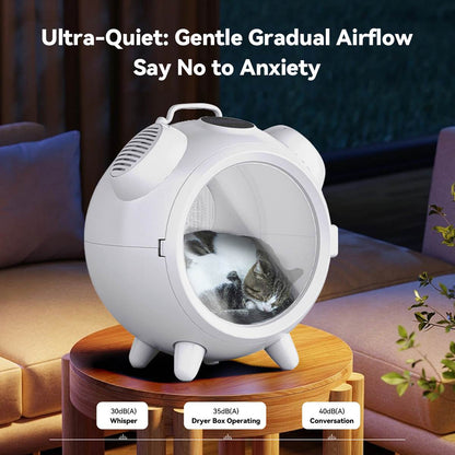 Cat peacefully sleeping inside a low-noise white pet dryer box with 35dB operation, shown in a cozy living room setting, highlighting whisper-quiet airflow that reduces pet anxiety.