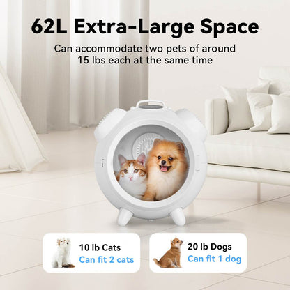 Pet dryer box with 62L extra-large capacity, showing a cat and a small dog comfortably inside; labeled to fit two 10 lb cats or one 20 lb dog.