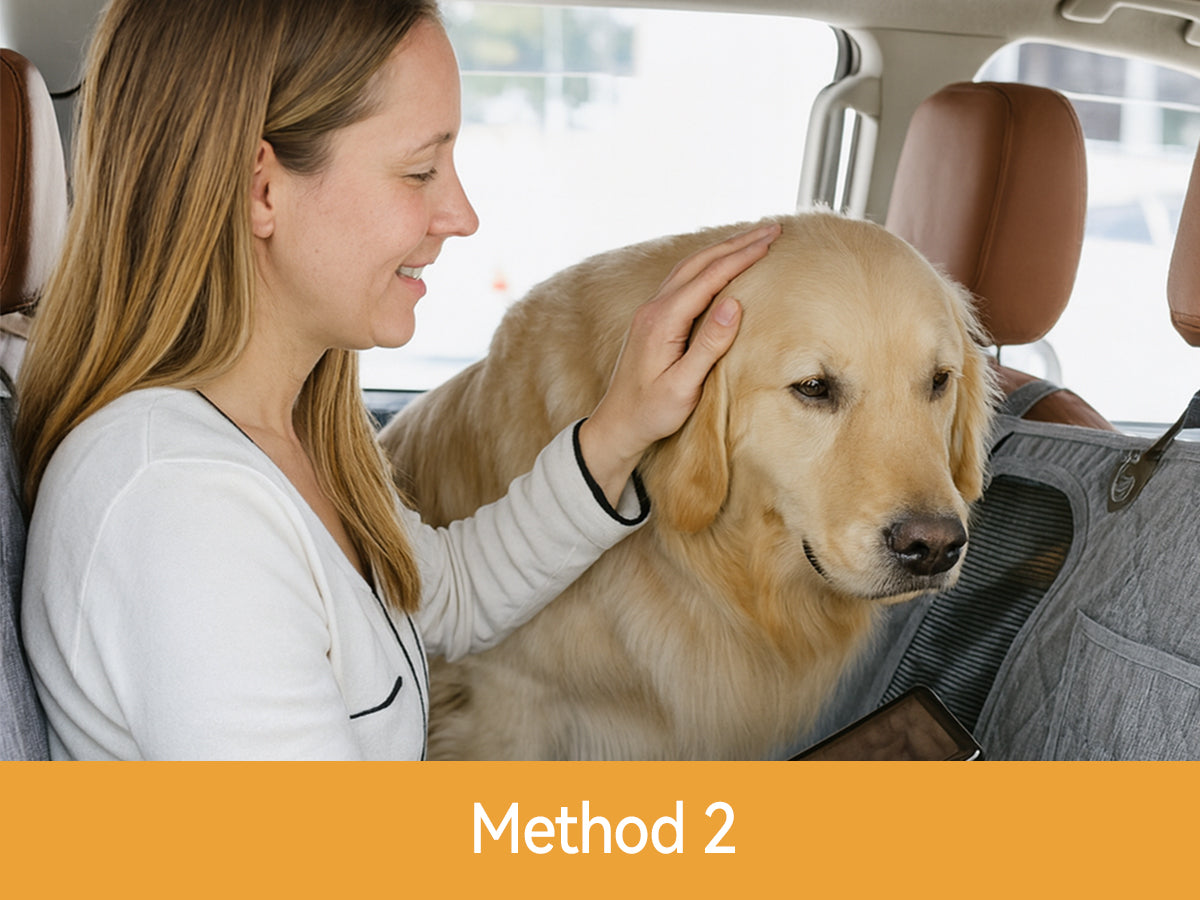 SC001 Shared Seat with Pet
