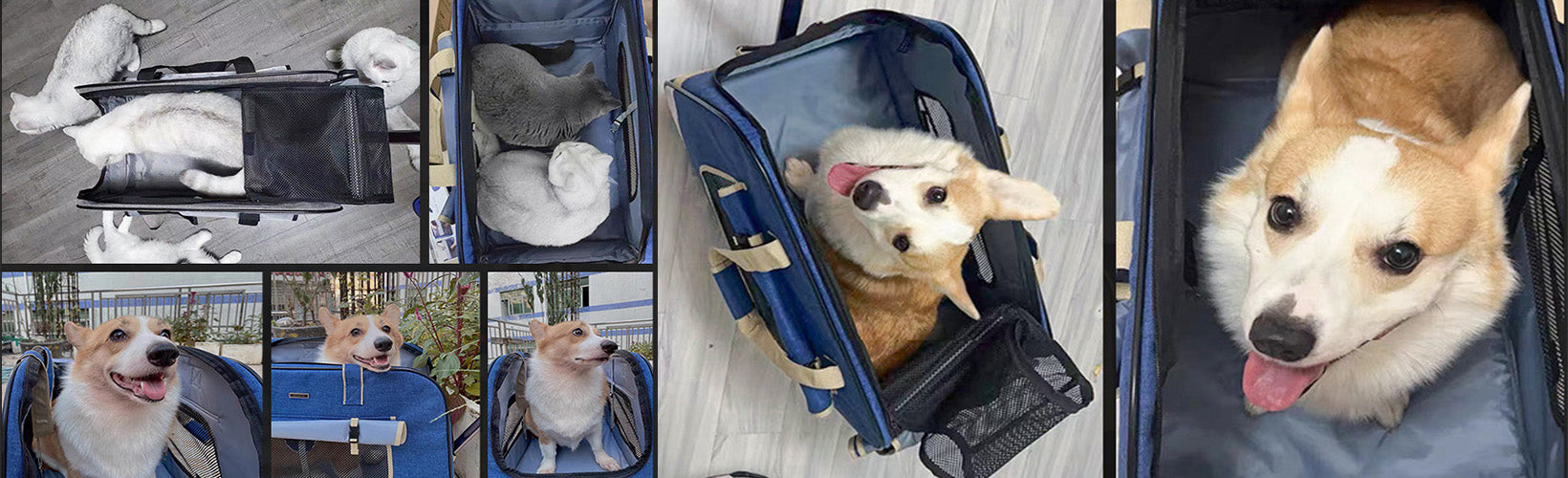 SC17 Rolling Pet Carrier for Small and Medium Cats and Dogs
