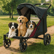 SL60 Extra Large Pet Stroller carries 3 puppies