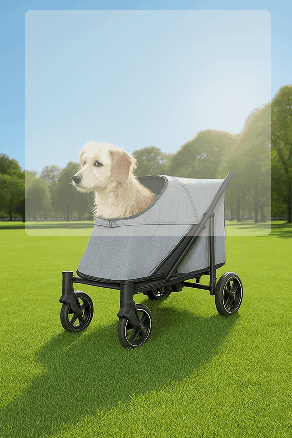 SL60 Pet Outdoor Carrier Stroller