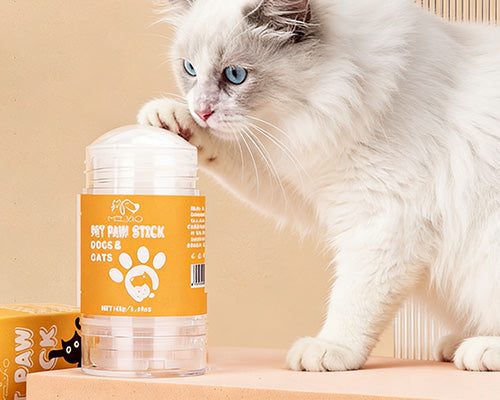 A cat touching a pet safe paw balm non toxic natural ingredients