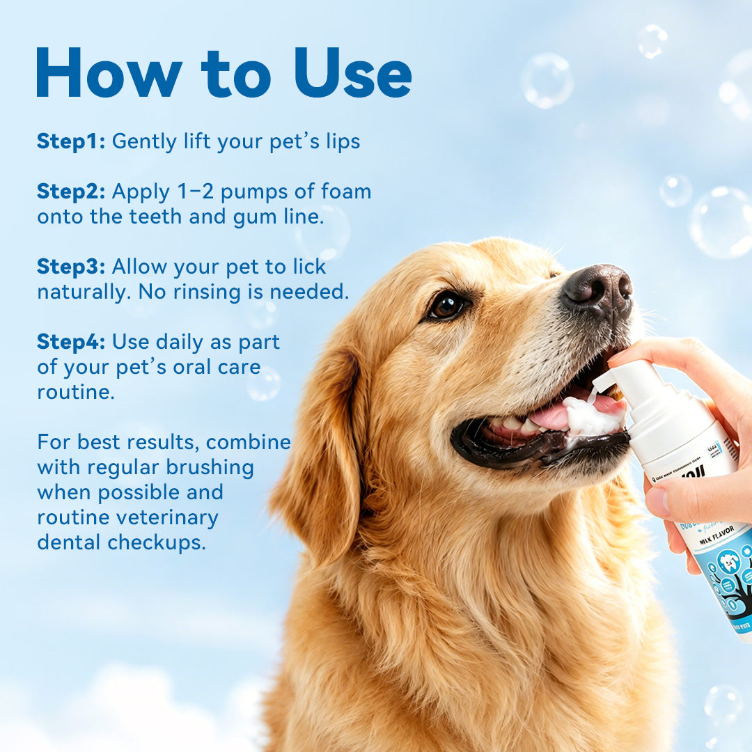 How to use dog dental foam by lifting lips and applying foam to teeth and gums