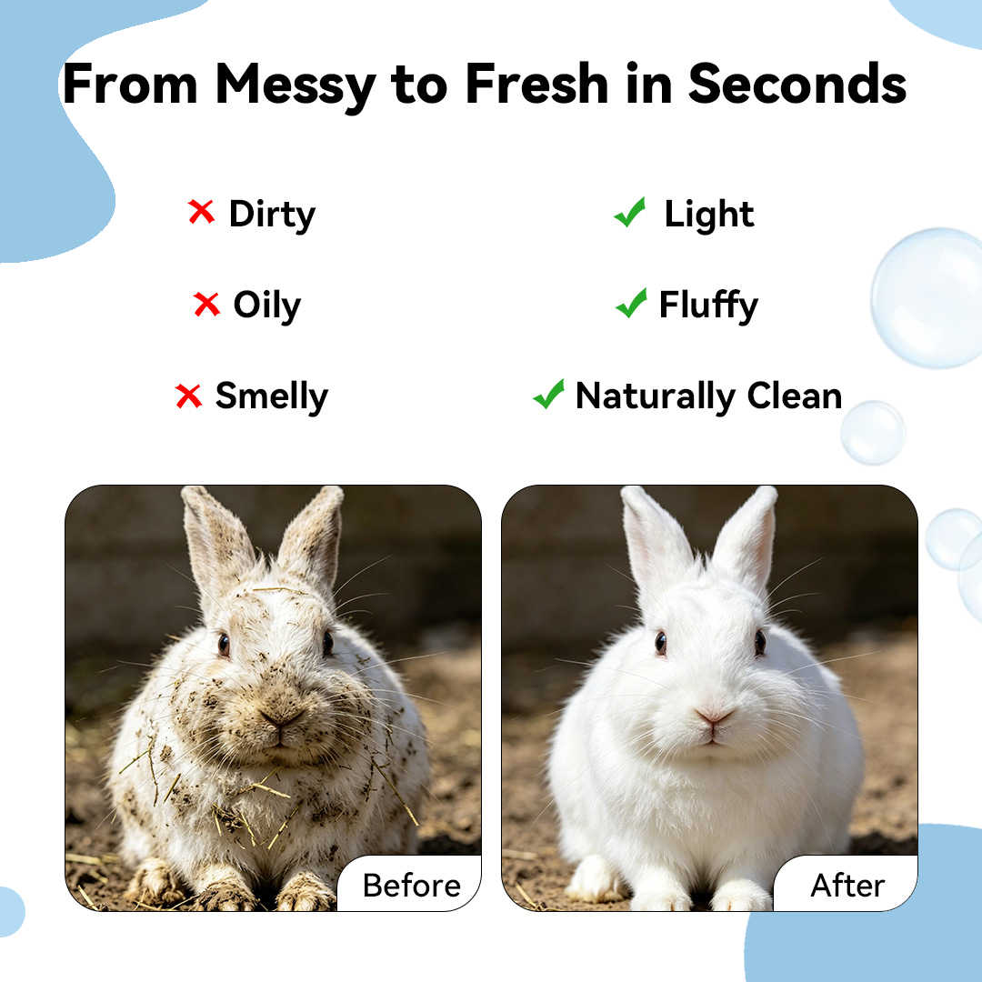 Before after small pet cleansing foam. Dirty oily smelly coat transformed to light fluffy naturally clean. 