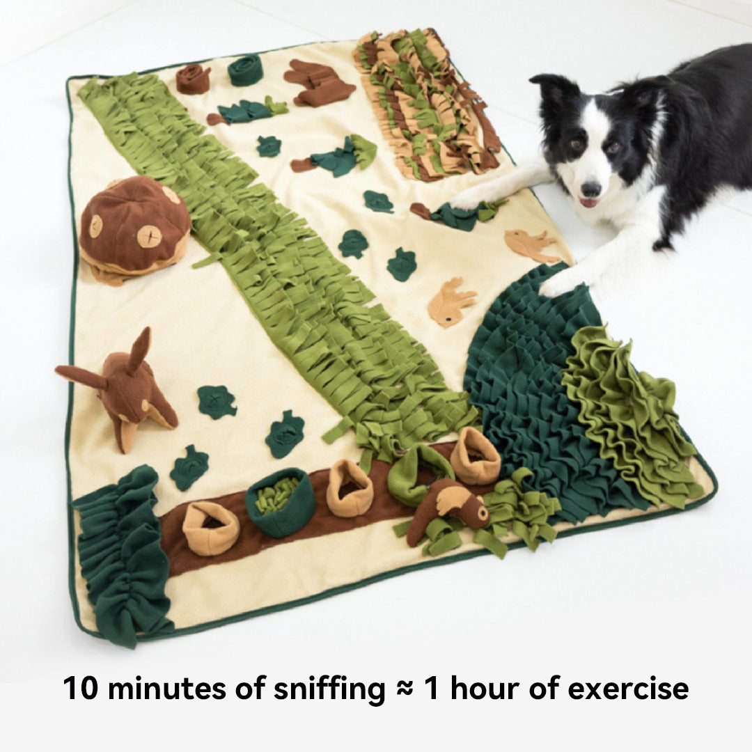 Sniffing Mat