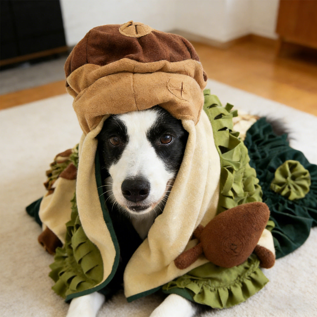 Sniffing Mat Dog Toy