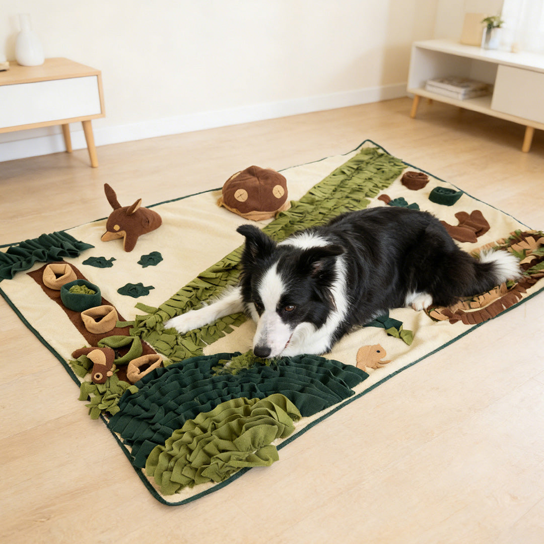 Sniffing Mat for Dogs