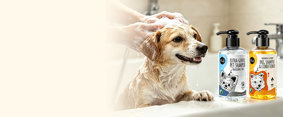 Wide desktop banner showing a dog being washed in a bathtub beside unscented dog shampoo and oatmeal honey dog shampoo bottles.