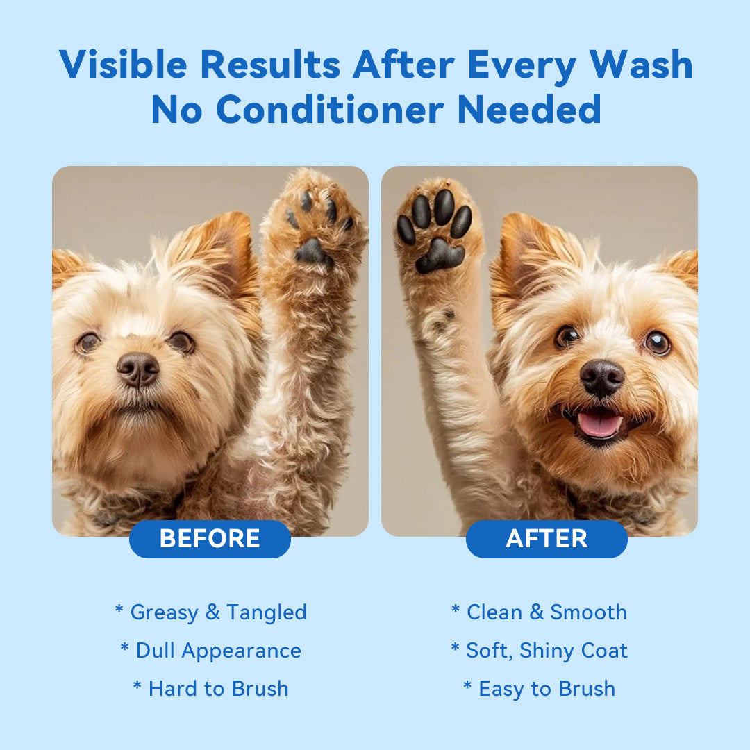 Before and after comparison: greasy and tangled vs clean, smooth, and shiny coat with easy brushing