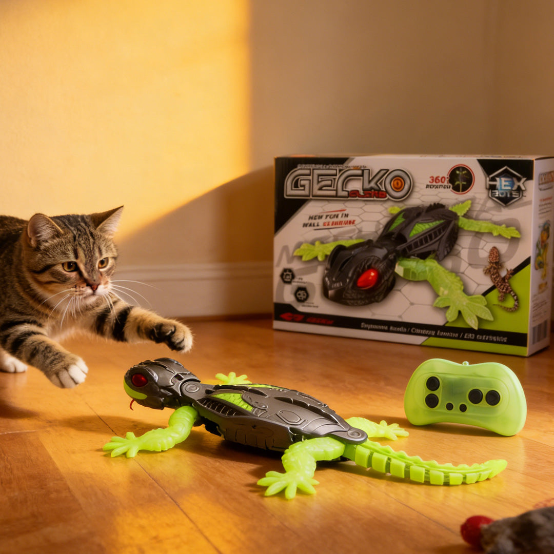 A Cat playing with the Wall Climbing  Gecko Cat Toy in a room