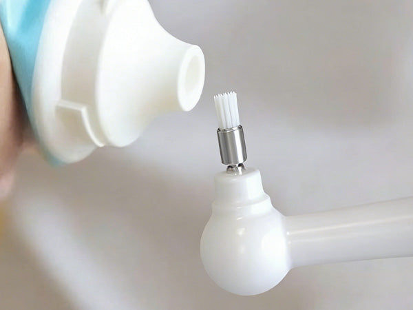 Applying a small amount of pet-safe toothpaste to the cat electric toothbrush