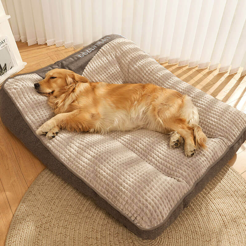 best orthopaedic dog bed