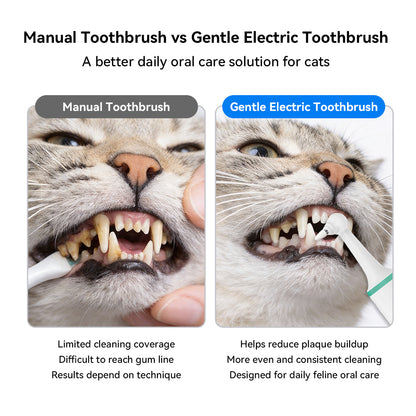 Comparison showing improved cat teeth appearance after regular oral care