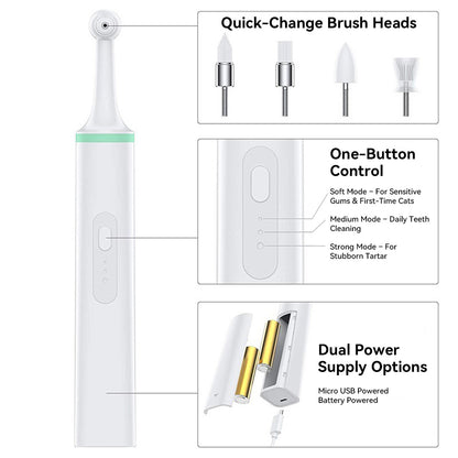 Close-up of electric cat toothbrush brush heads for targeted cleaning