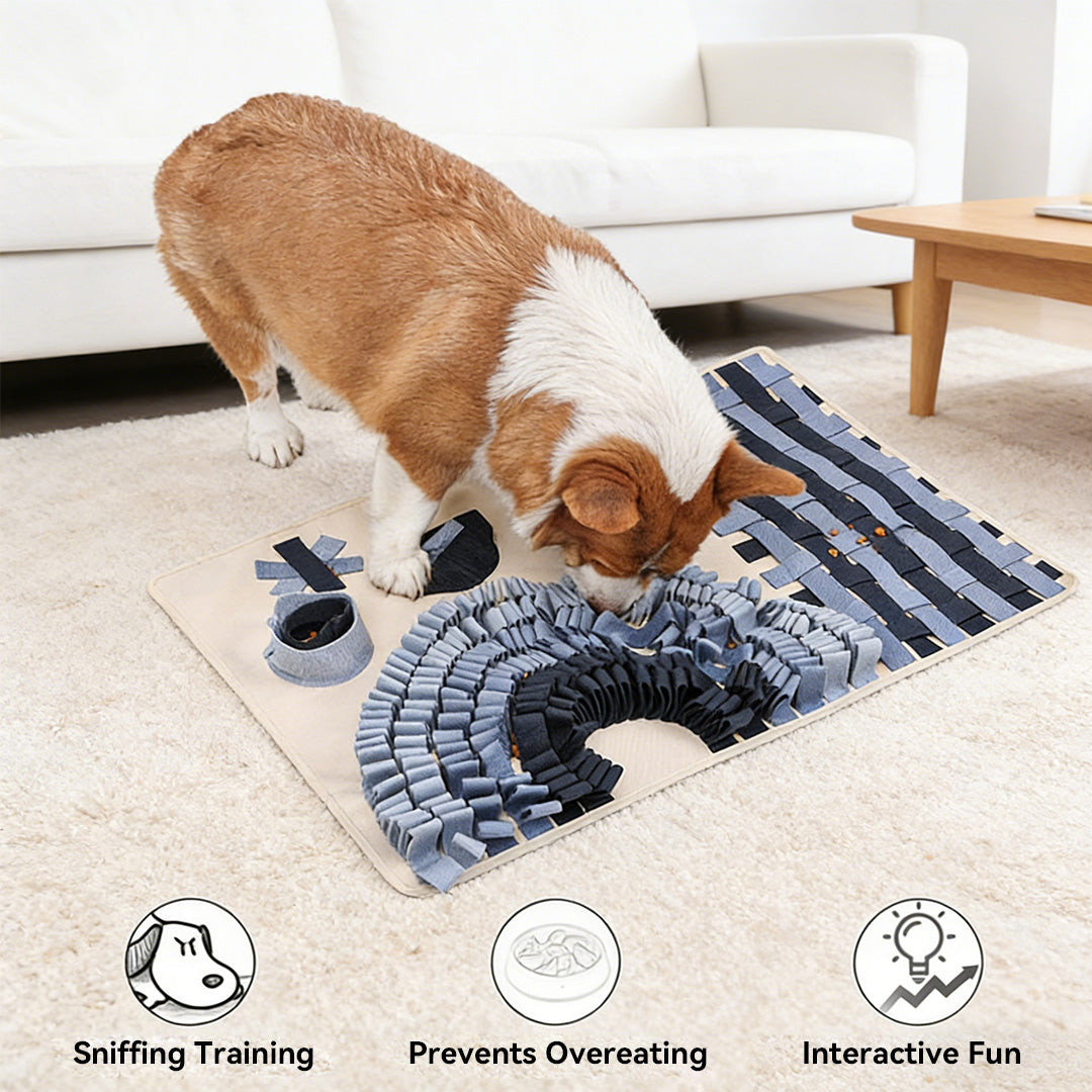 Indoor dog enrichment with snuffle mat for sniffing training and slow feeding