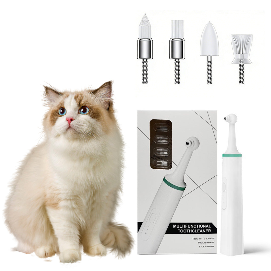 Electric cat toothbrush with interchangeable brush heads and packaging