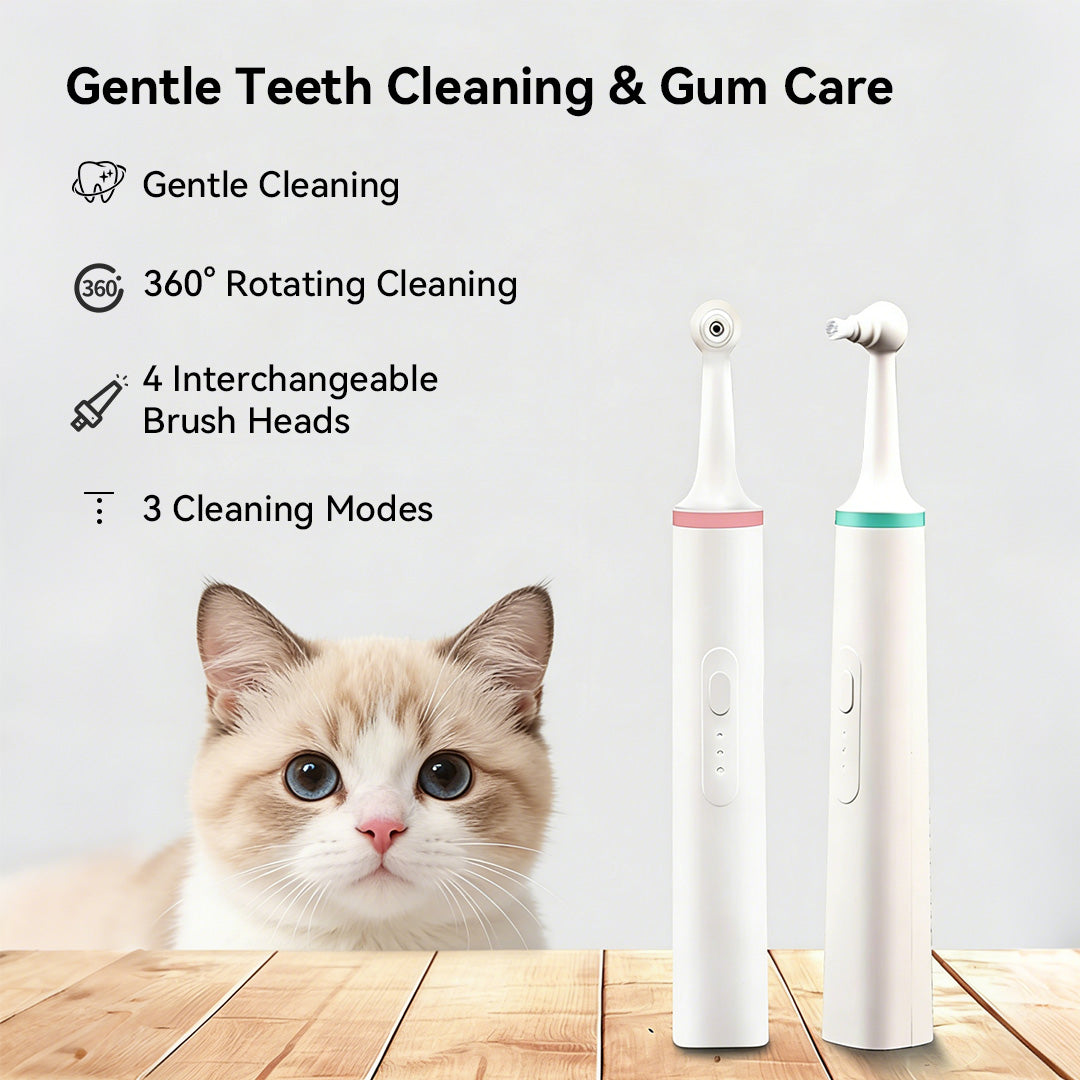 Gentle electric toothbrush designed for daily feline oral care
