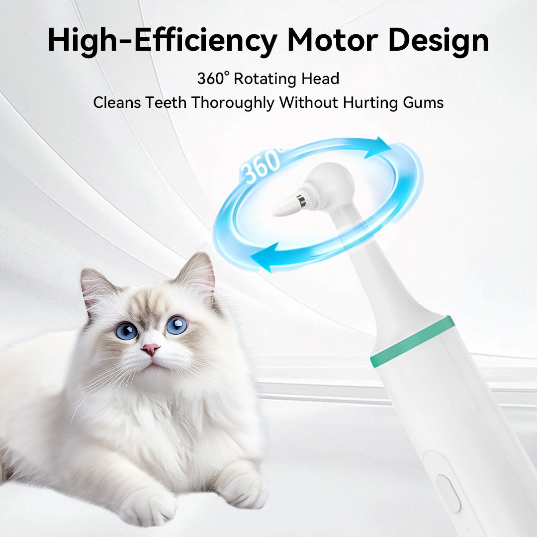 High-efficiency motor design for gentle cat teeth cleaning